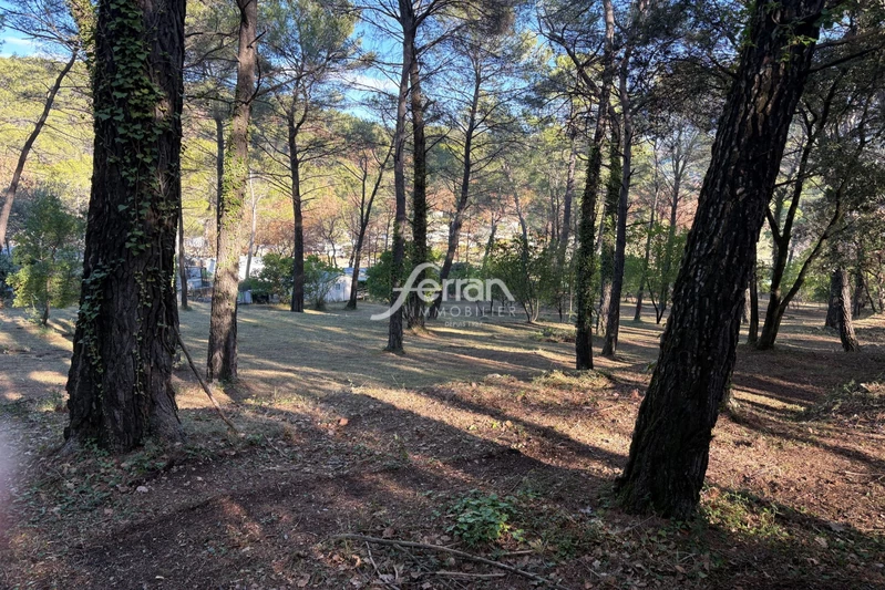 Vente terrain Callas Vente terrain Callas