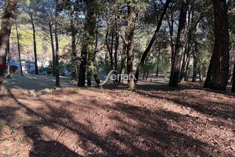 Vente terrain Callas Vente terrain Callas