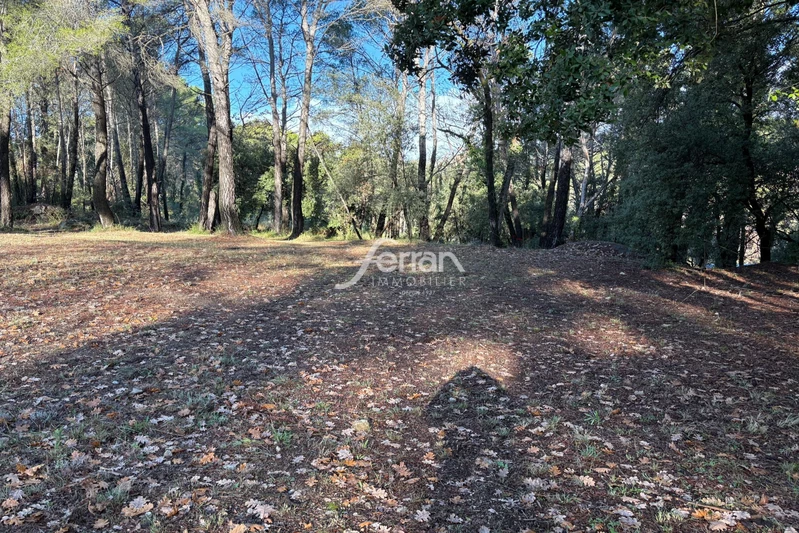 Vente terrain Callas Vente terrain Callas