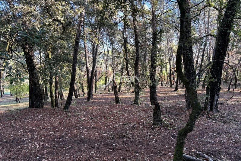 Vente terrain Callas Vente terrain Callas