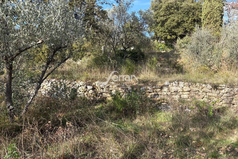 Vente terrain à bâtir Callas  