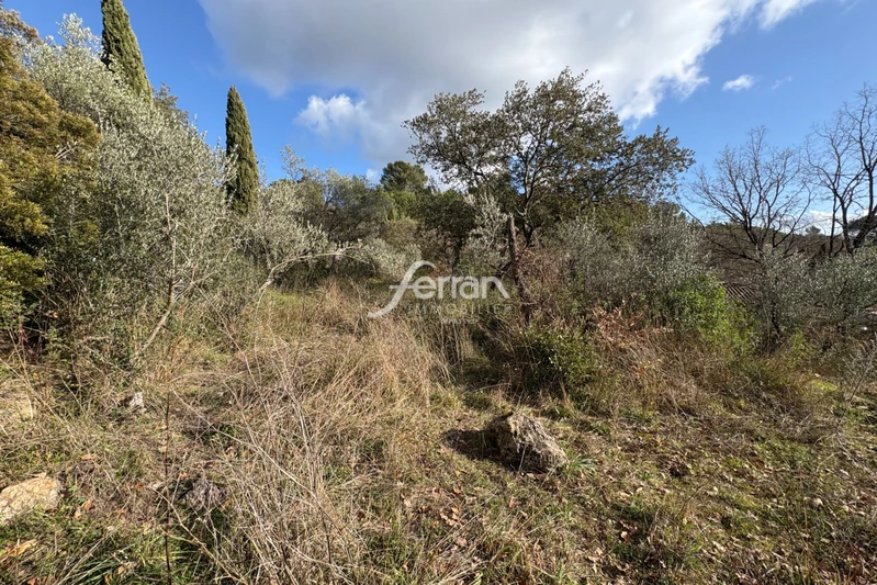 Vente terrain à bâtir Callas  