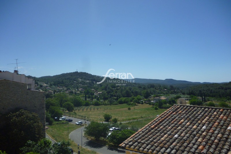 Photo n°12 - Vente maison de village Callas 83830 - 350 000 €