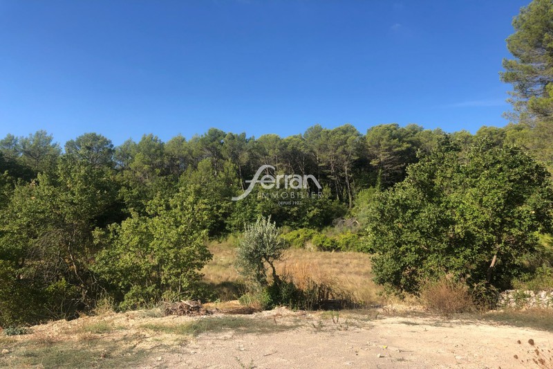 Photo n°5 - Vente Maison villa Figanières 83830 - 439 000 €