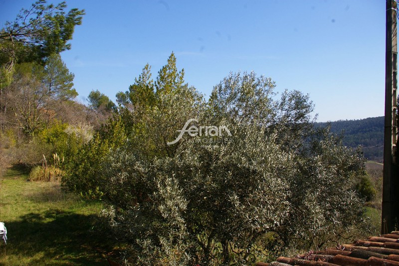 Photo n°19 - Vente Maison bastide Salernes 83690 - 840 000 €