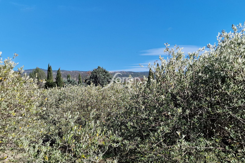 Photo n°4 - Vente Maison villa Salernes 83690 - 342 000 €