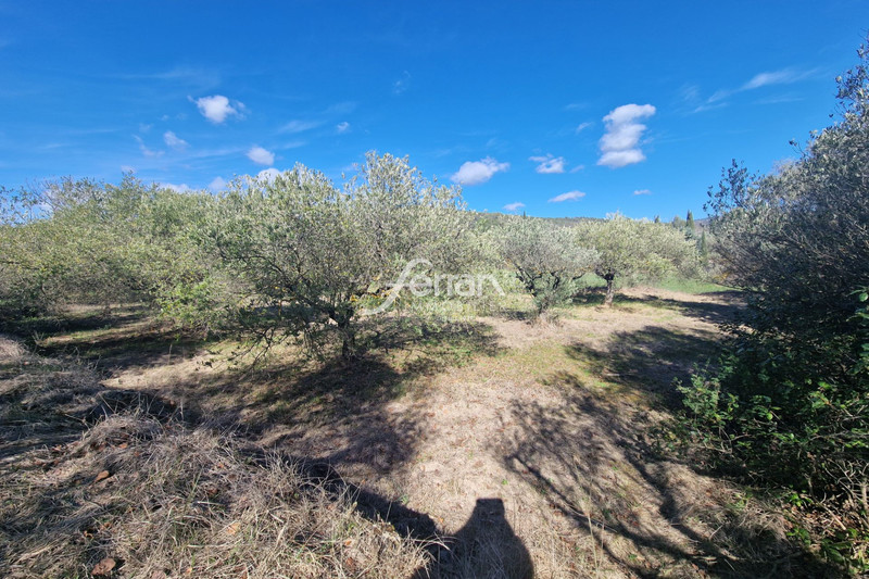 Photo n°5 - Vente Maison villa Salernes 83690 - 342 000 €