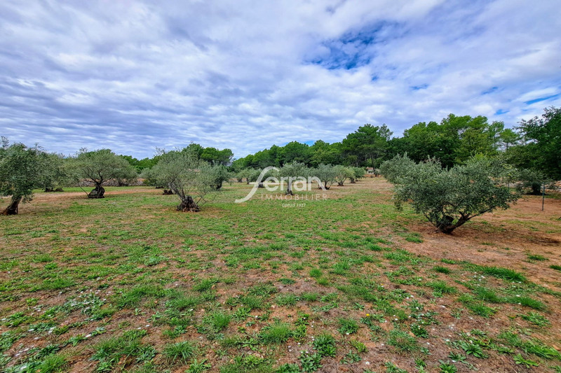 Photo n°10 - Vente maison Les Arcs 83460 - 850 000 €