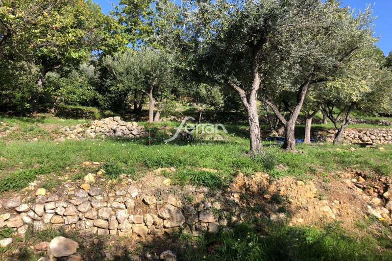 Photo n°3 - Vente maison Callas 83830 - 420 000 €