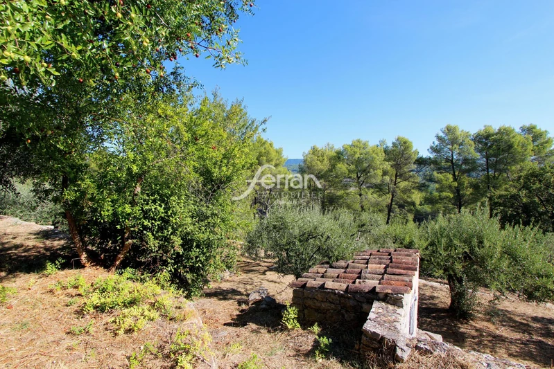 Vente maison Flayosc  