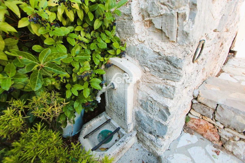 Vente maison Flayosc  