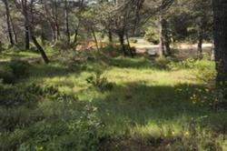 Photos Terrain à vendre Salernes 83690