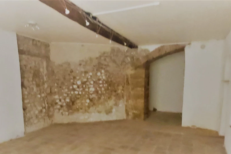 Professionnel local commercial Riez  