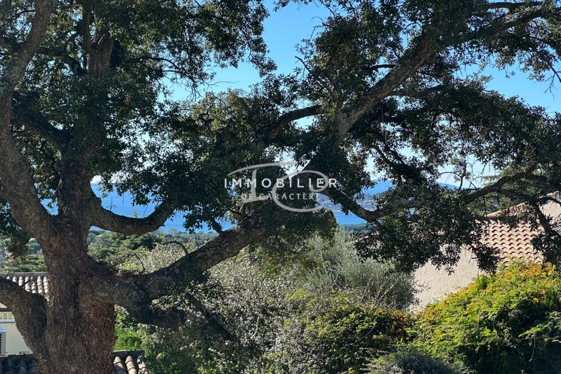 Photo n°13 - Vente maison La Croix-Valmer 83420 - 624 000 €