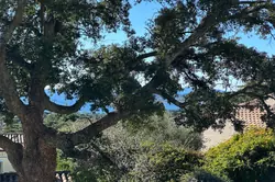 Vente maison La Croix-Valmer Vente maison La Croix-Valmer