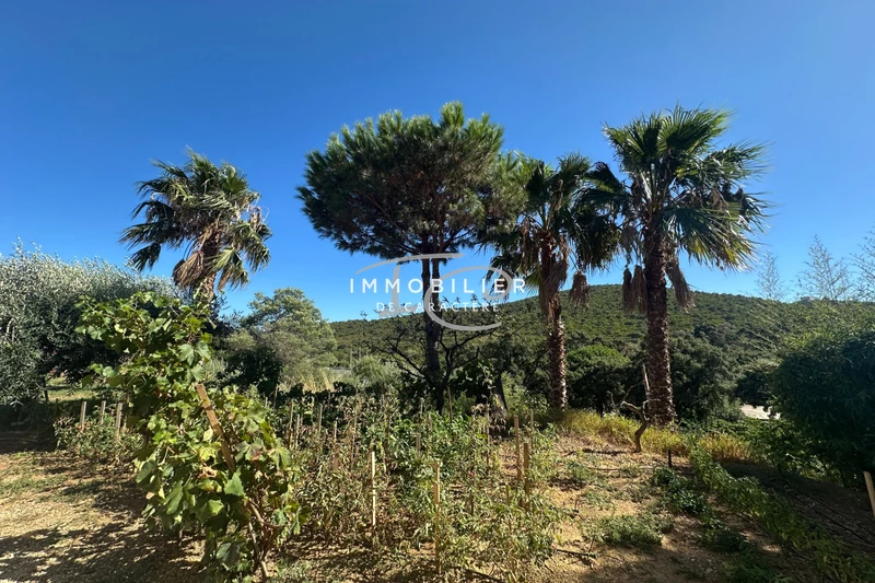 Vente maison Cavalaire-sur-Mer  