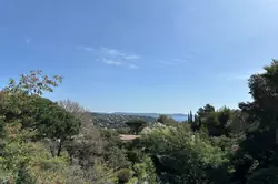 Vente terrain Cavalaire-sur-Mer Vente terrain Cavalaire-sur-Mer