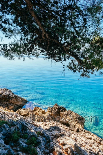 Professionnel  Sanary-sur-Mer  