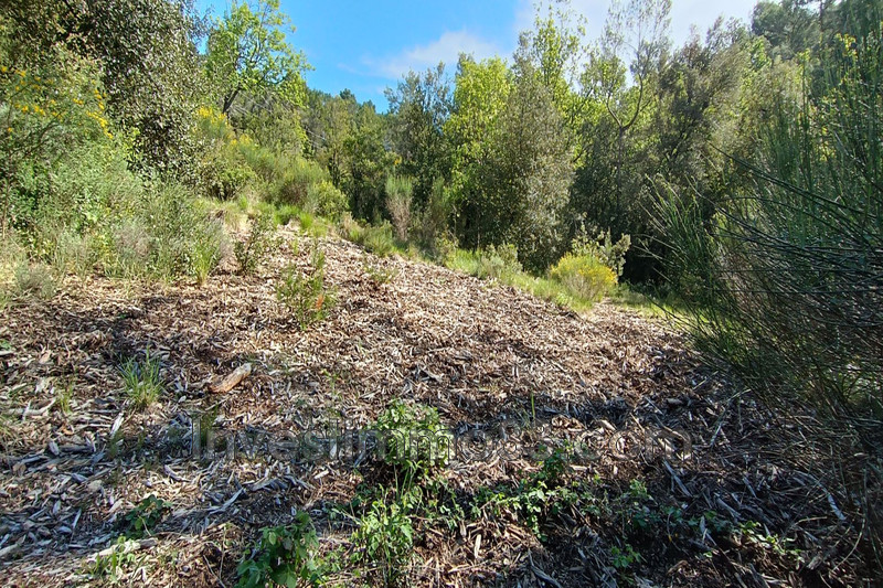 Vente terrain La Roquebrussanne  