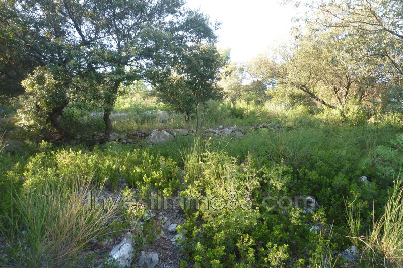 Photo n°2 - Vente terrain constructible Saint-Maximin-la-Sainte-Baume 83470 - 239 000 €