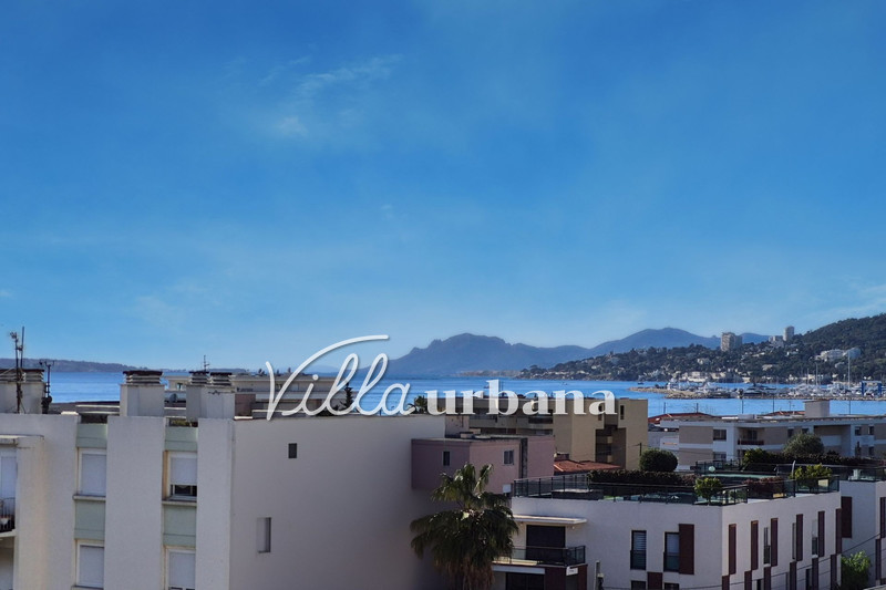 appartement  studio  Juan-les-Pins Pont du lys  27 m² -   
