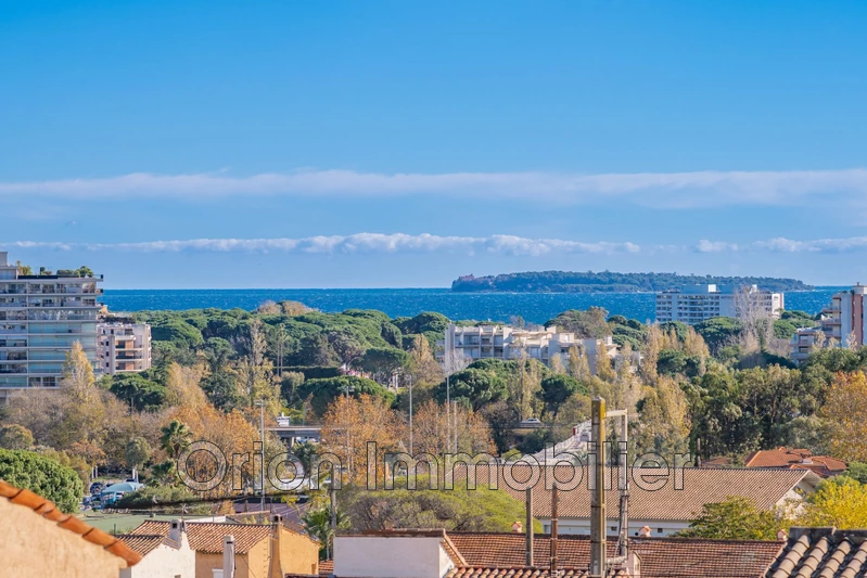 Vente maison Mandelieu-la-Napoule  