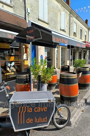 Professionnel  Saint-Vivien-de-Médoc  
