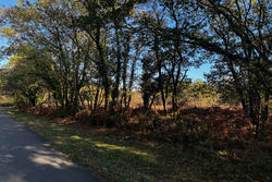 Vente terrain Vertheuil  
