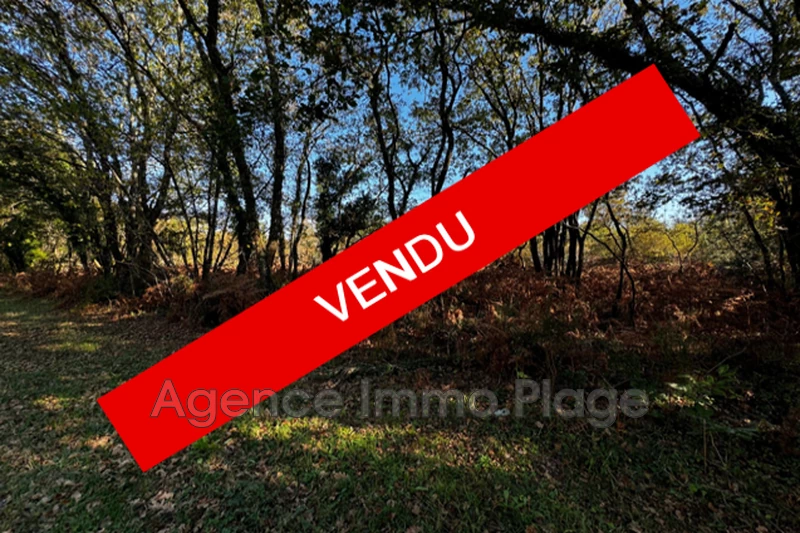 Vente land Vertheuil Vente land Vertheuil