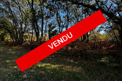Vente terrain Vertheuil  