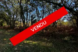 Vente terrain Vertheuil  