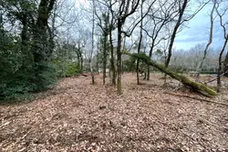 Vente terrain à bâtir Grayan-et-l'Hôpital  