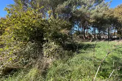 Vente terrain Vensac  