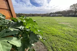 Vente terrain à bâtir Grayan-et-l'Hôpital  