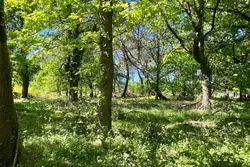 Vente maison de campagne Vensac  