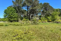Vente maison de campagne Vensac  