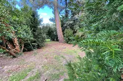 Vente maison Queyrac  