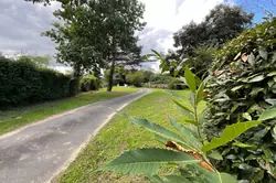 Vente maison Queyrac  