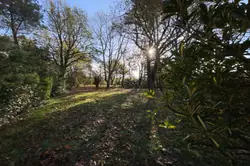 Vente maison Saint-Vivien-de-Médoc  