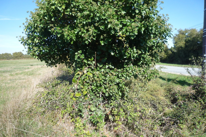 Vente land Talais Vente land Talais