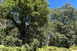 Vente terrain non constructible Grayan-et-l'Hôpital  