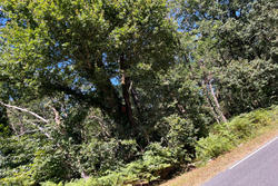 Vente terrain non constructible Grayan-et-l'Hôpital  