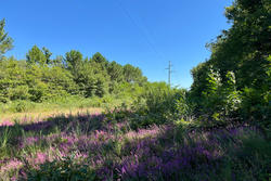 Vente terrain non constructible Grayan-et-l'Hôpital  