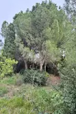 Vente terrain Canohès  
