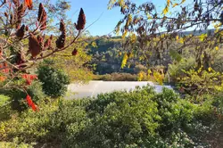 Vente maison Saint-Andéol-de-Berg  