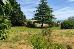 Vente terrain Saint-Etienne-de-Fontbellon  