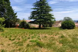 Vente terrain Saint-Etienne-de-Fontbellon  