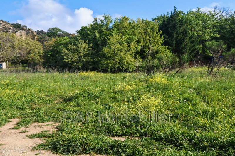 Vente terrain agricole Millas  