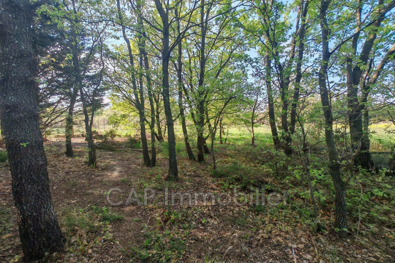 Vente terrain agricole Millas  
