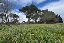 Vente terrain Boutenac  